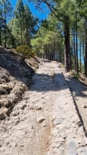 2023-04-GranCan-Roque_Nublo-014.jpg